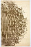 Designer Teppich 242 x 152 cm Wohnzimmer Teppich