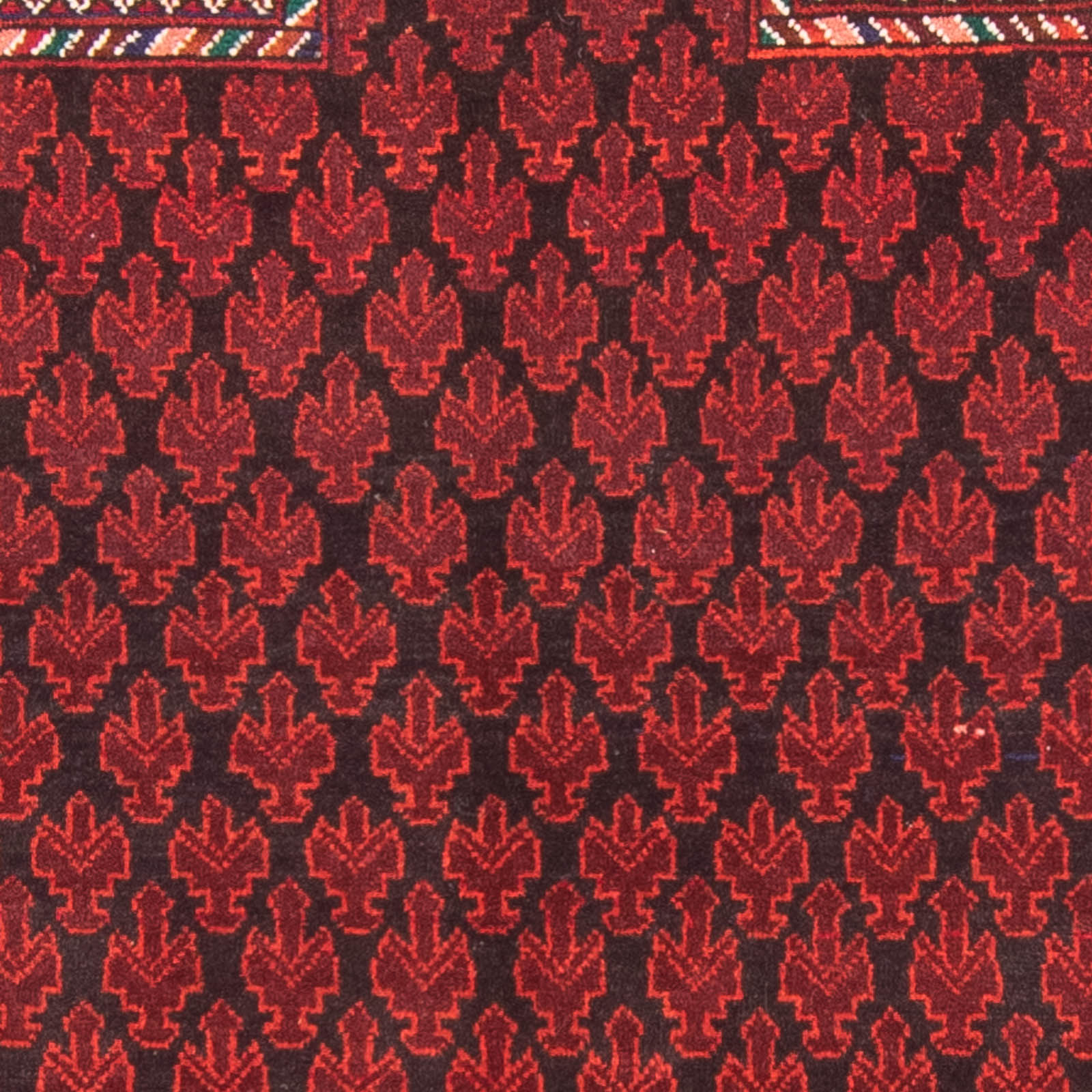 Belutsch Teppich - Gebetsteppich - 155 x 103 cm - rot