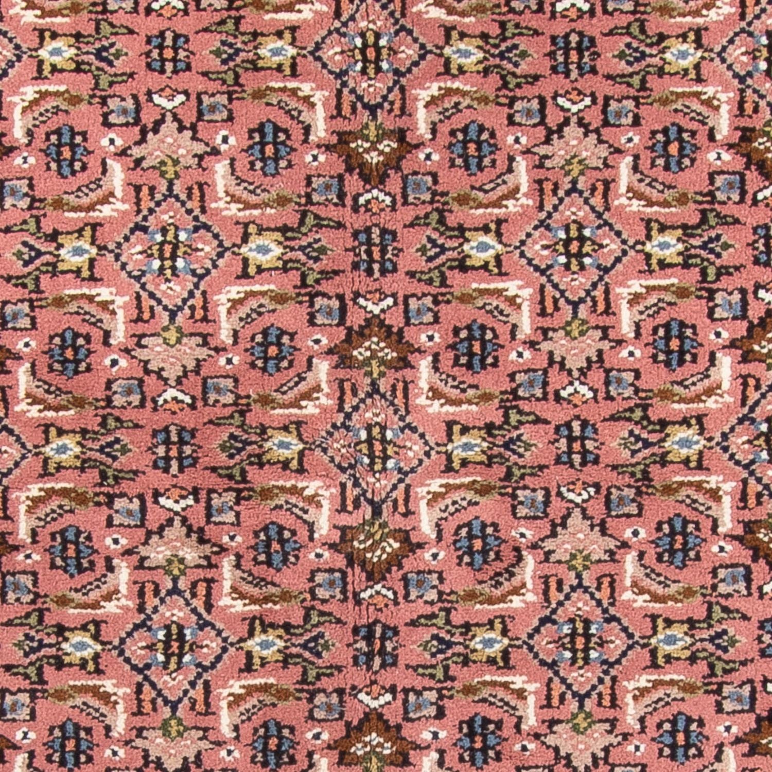 Orientteppich - Bidjar - Indus - 240 x 170 cm - lachs