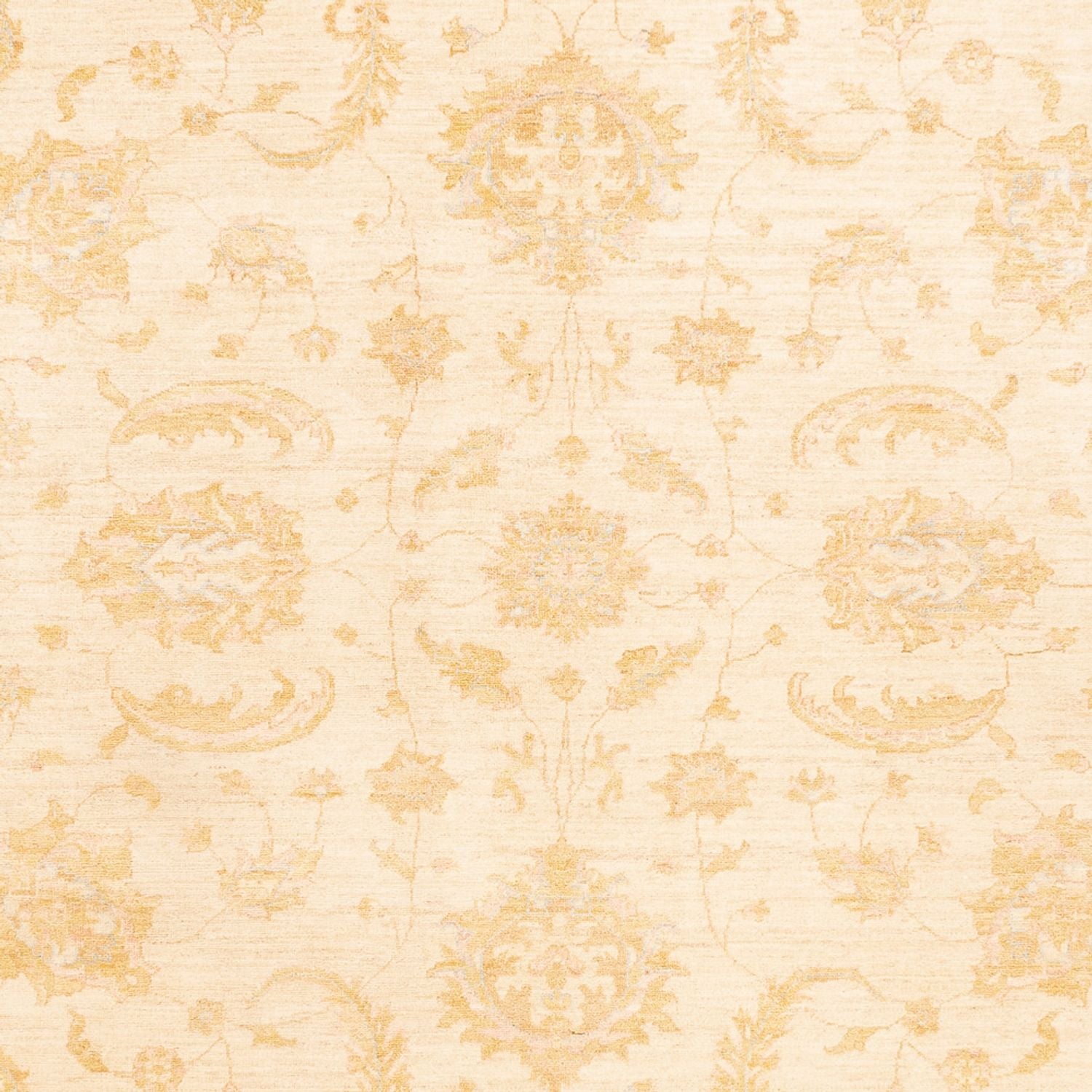Ziegler Teppich - 342 x 255 cm - beige