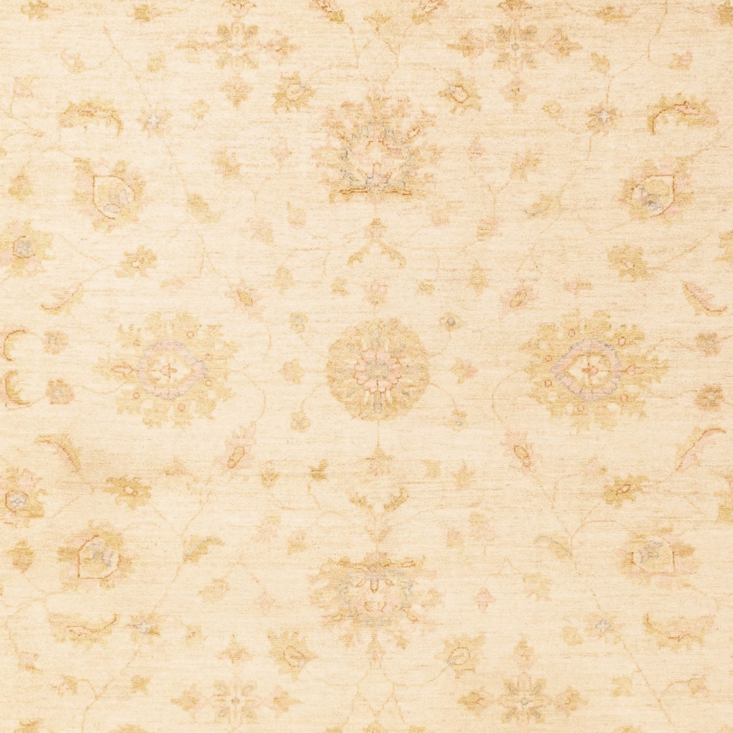 Ziegler Teppich - 344 x 254 cm - beige