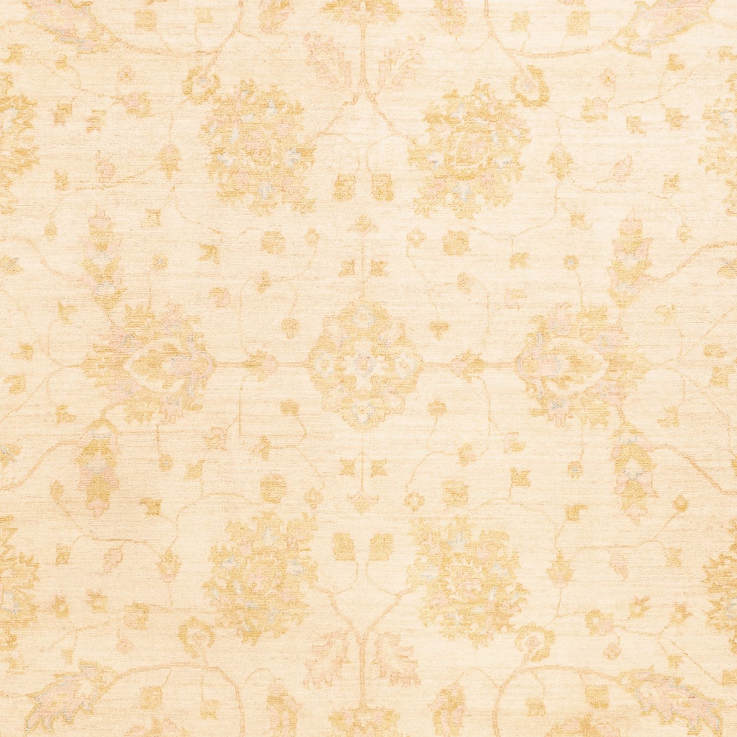 Ziegler Teppich - 341 x 258 cm - beige