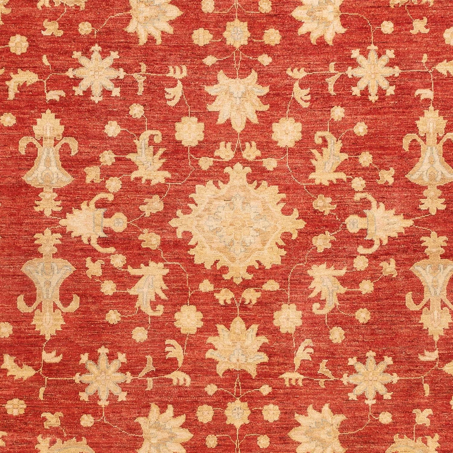Ziegler Teppich - 343 x 254 cm - rot