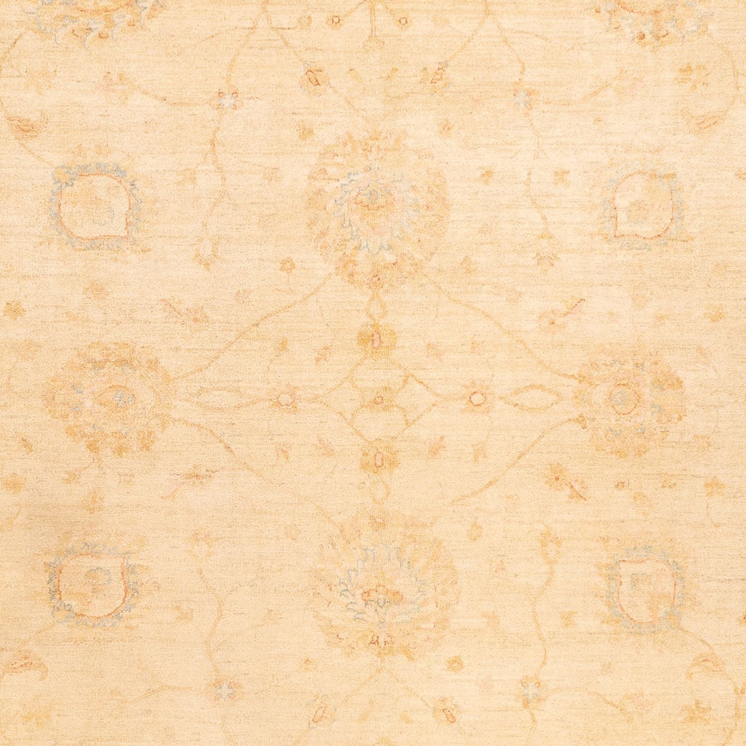 Ziegler Teppich - 347 x 256 cm - beige