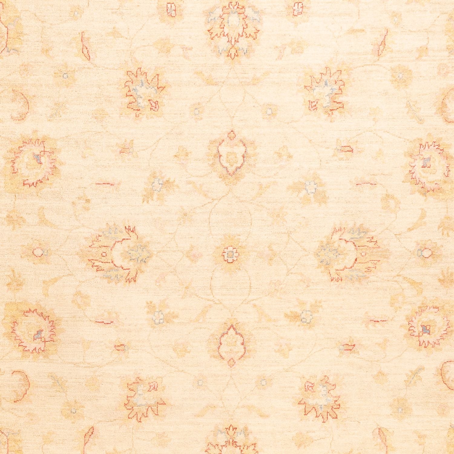 Ziegler Teppich - 338 x 251 cm - beige