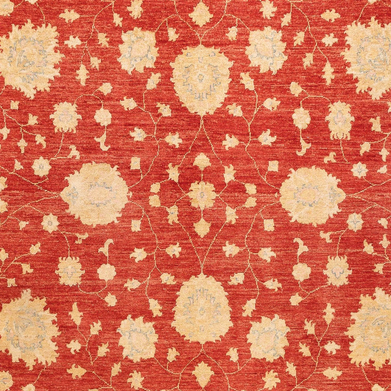 Ziegler Teppich - 355 x 254 cm - rot