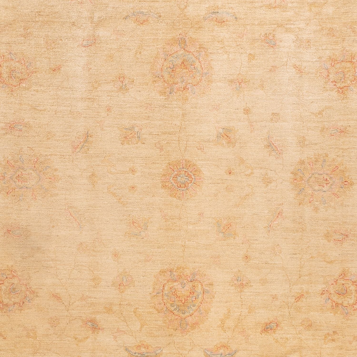 Ziegler Teppich - 350 x 252 cm - beige