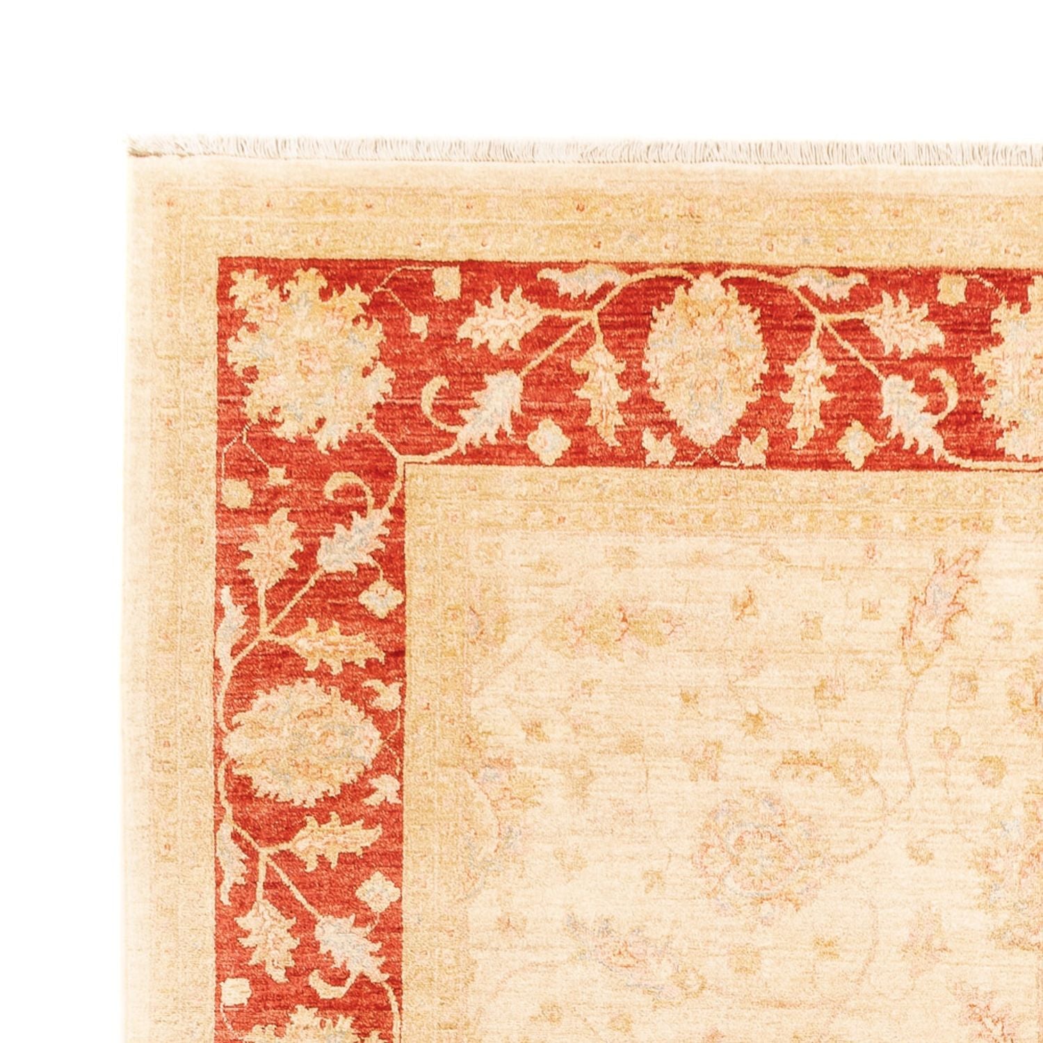 Ziegler Teppich - 326 x 244 cm - beige