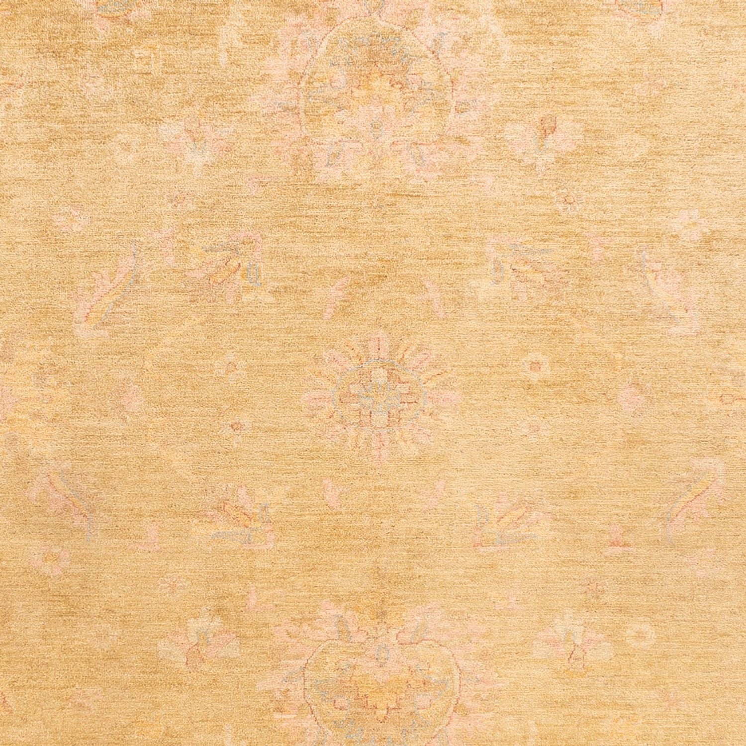 Ziegler Teppich - 348 x 260 cm - beige
