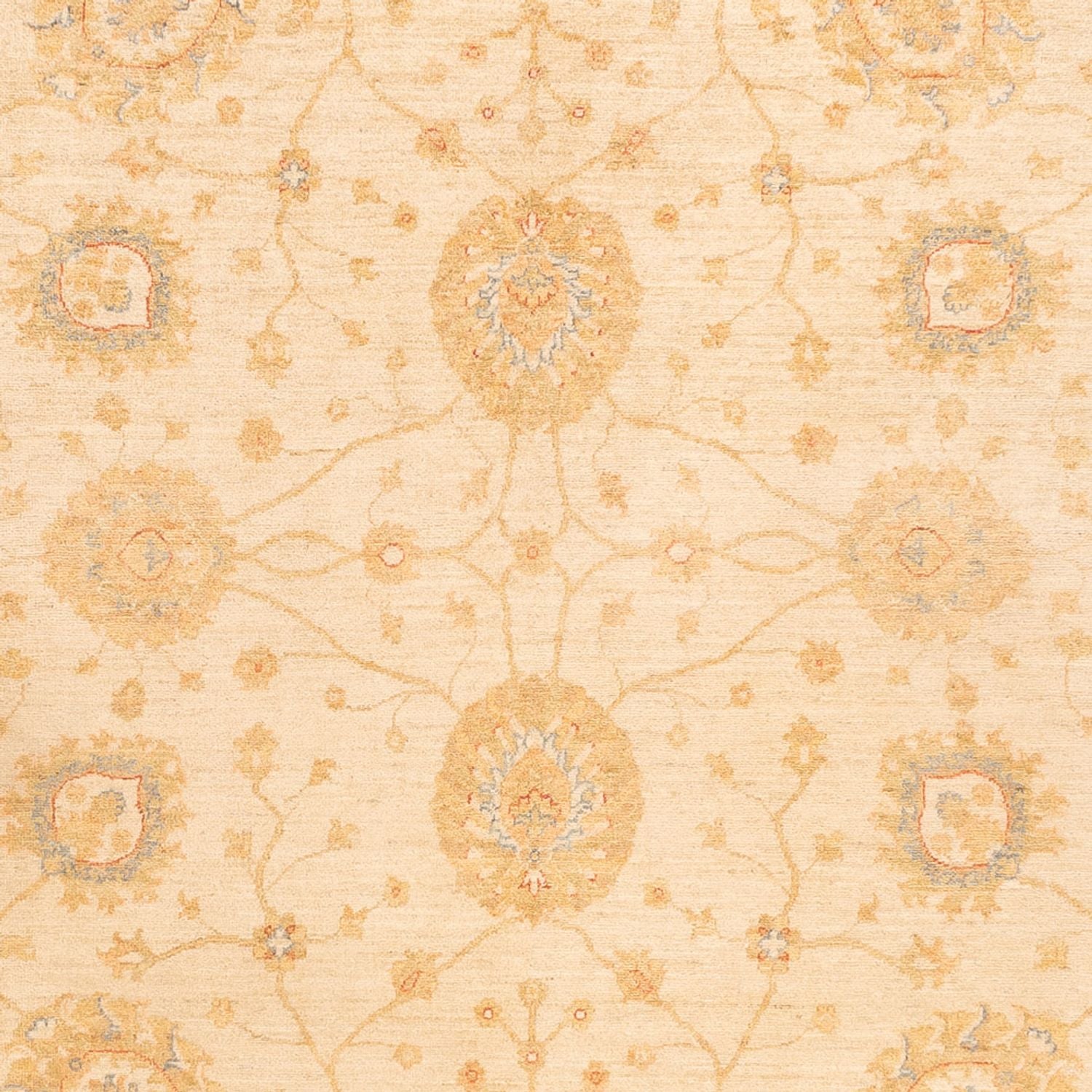 Ziegler Teppich - 325 x 250 cm - beige