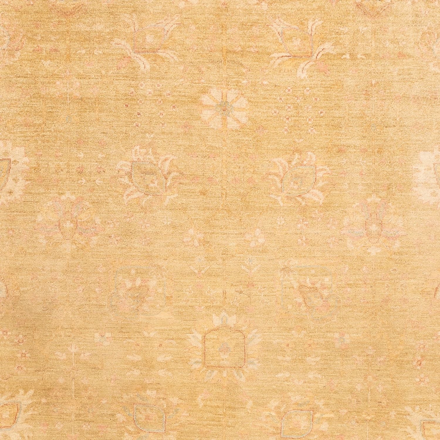 Ziegler Teppich - 339 x 258 cm - beige
