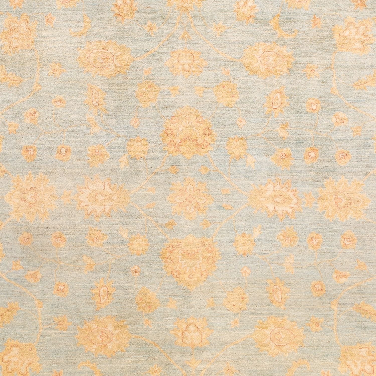 Ziegler Teppich - 342 x 257 cm - hellblau