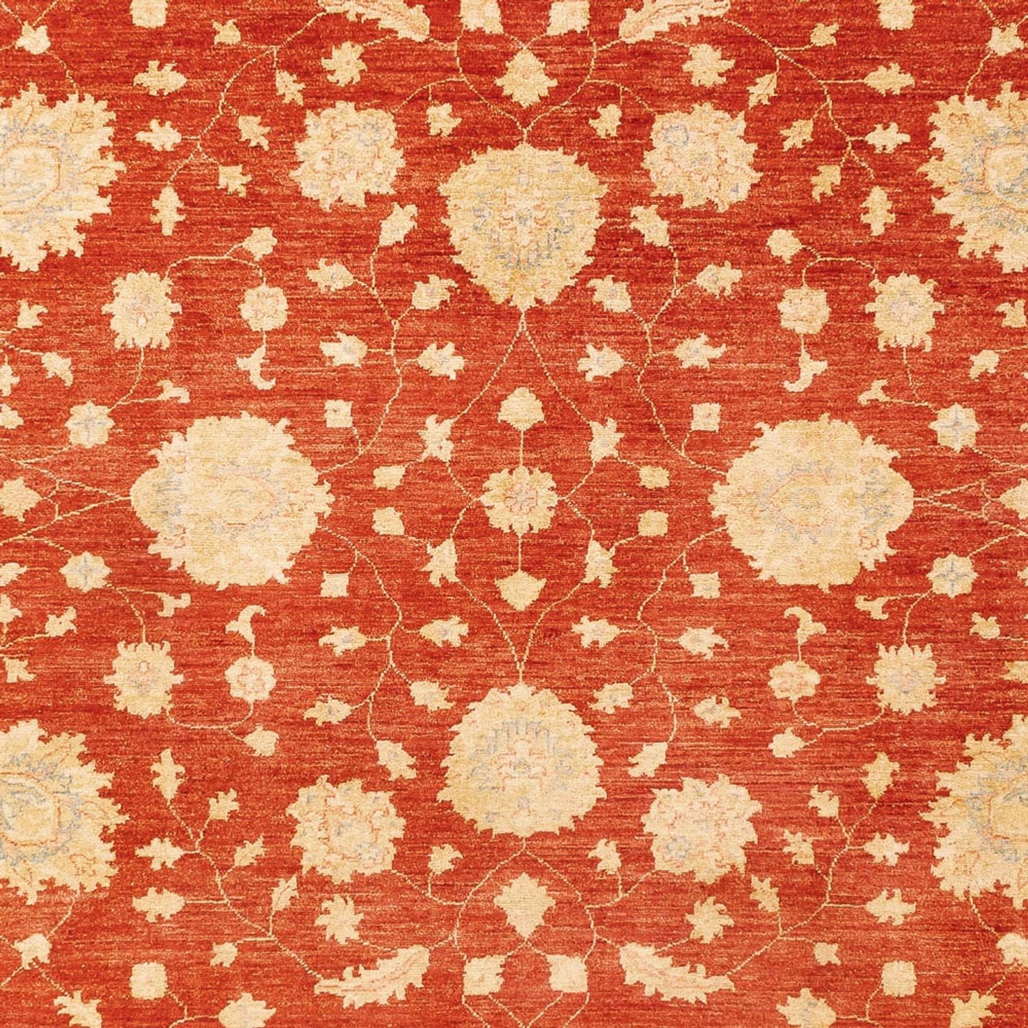 Ziegler Teppich - 336 x 258 cm - rot