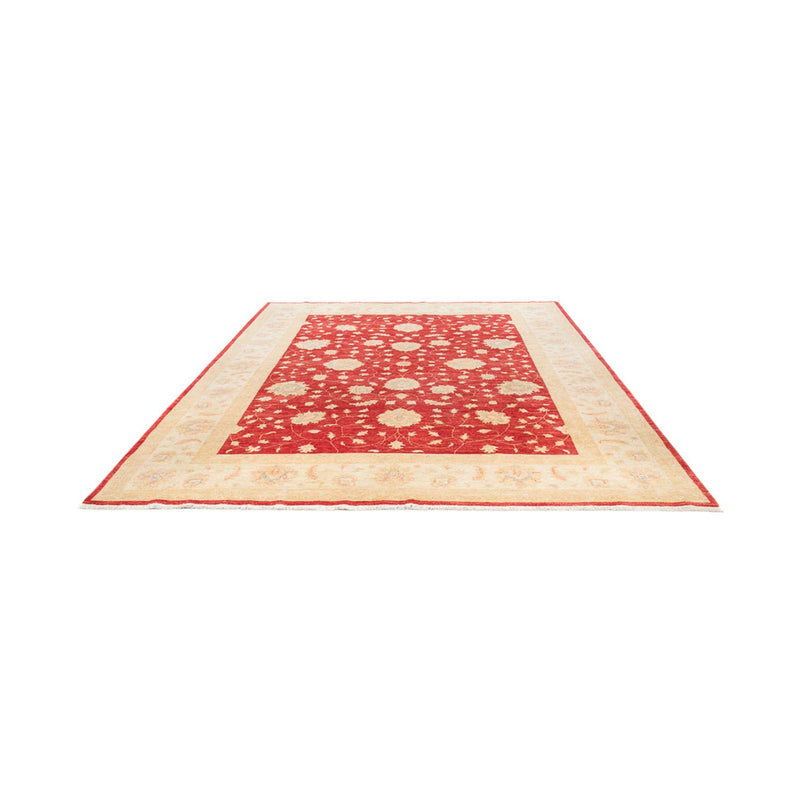 Ziegler Teppich - 336 x 258 cm - rot