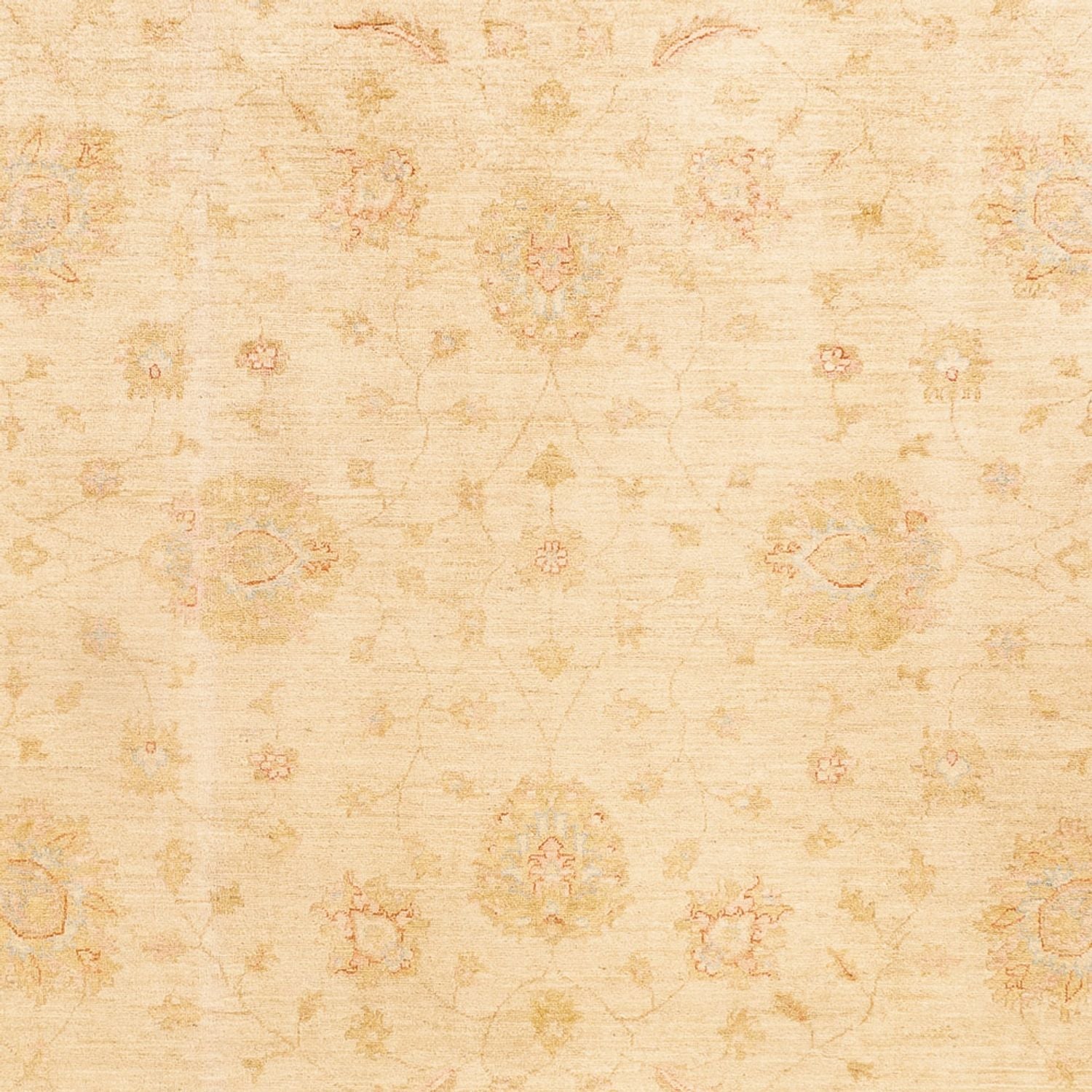 Ziegler Teppich - 348 x 257 cm - beige