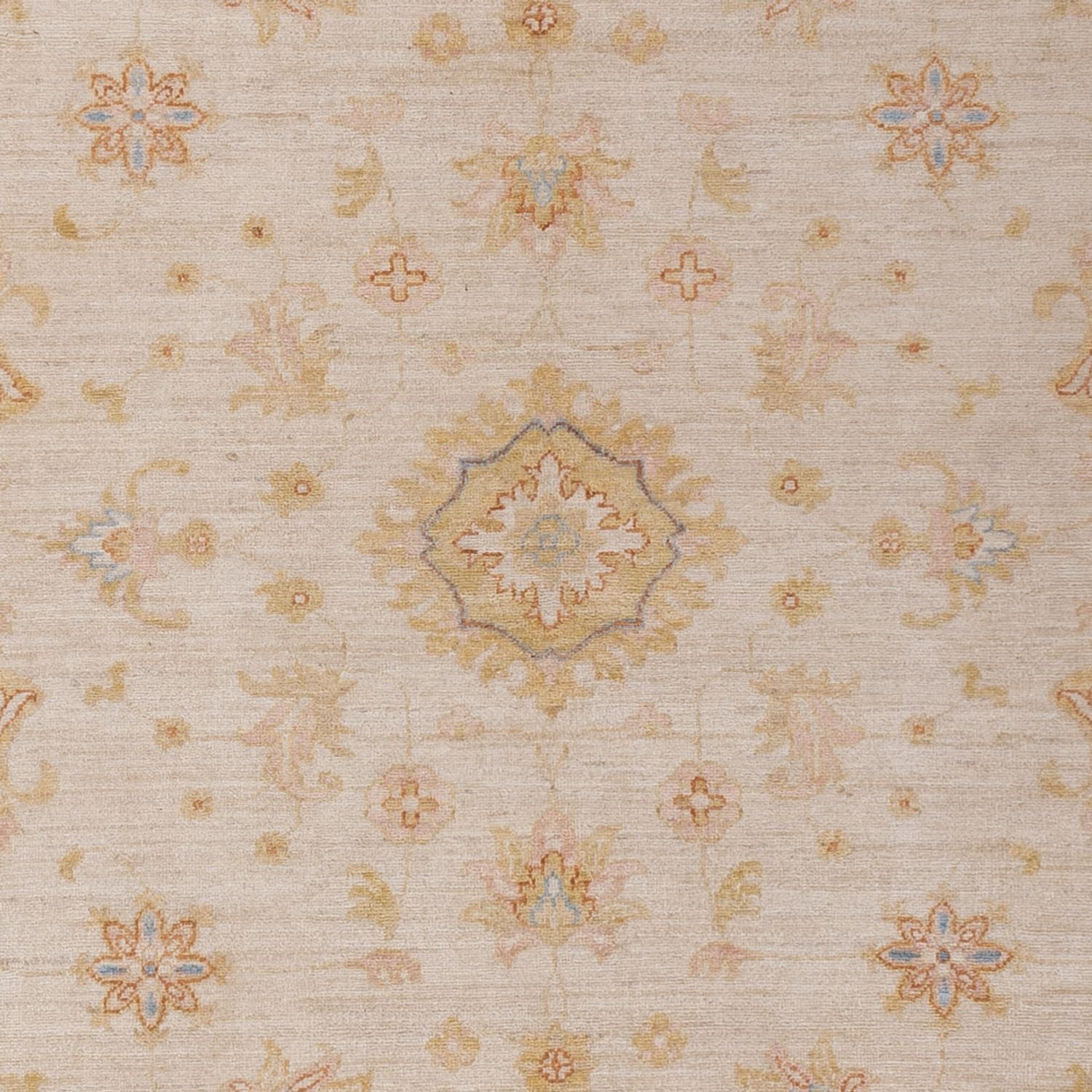 Ziegler Teppich - 288 x 212 cm - beige