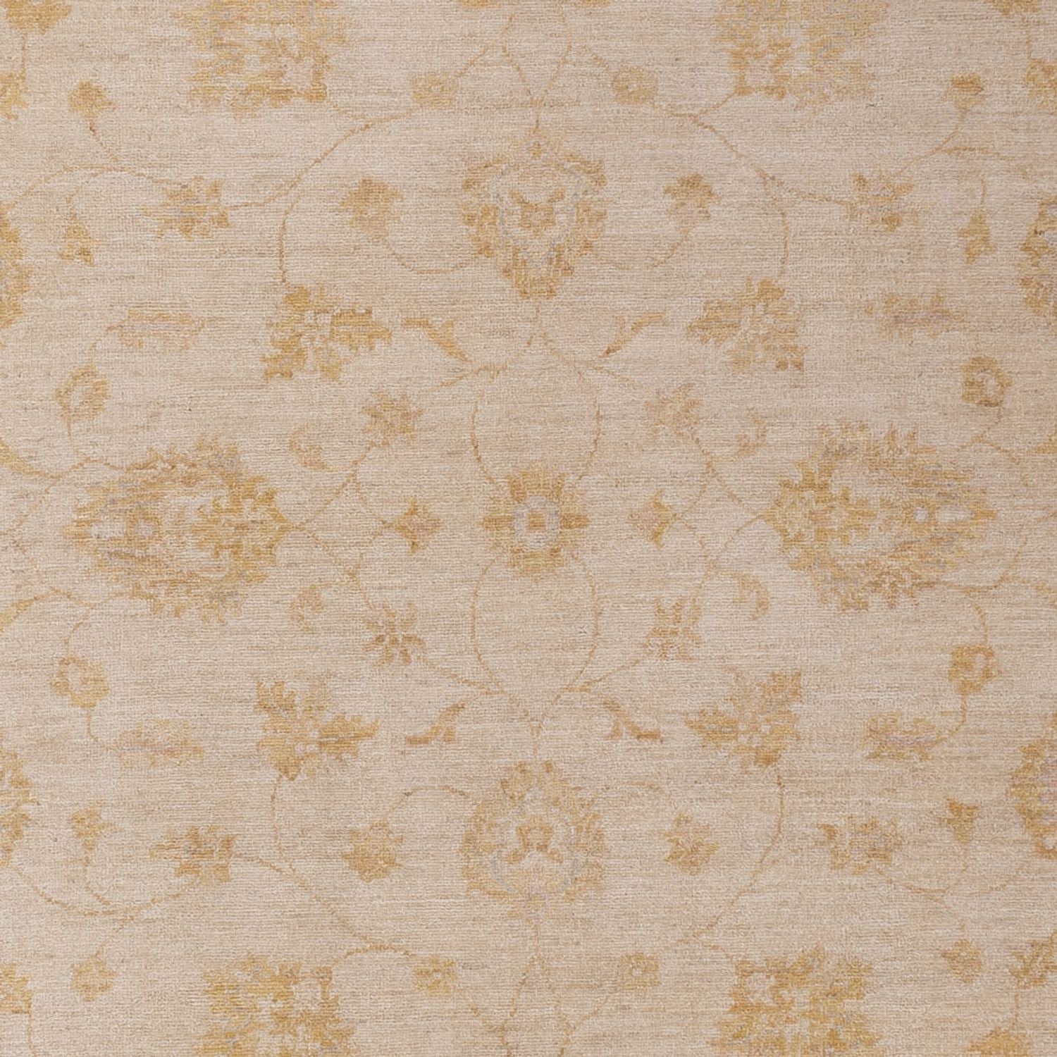Ziegler Teppich - 296 x 202 cm - beige
