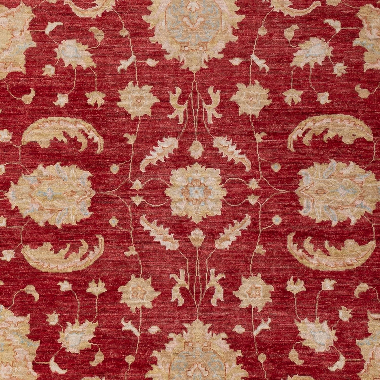 Ziegler Teppich - 303 x 204 cm - dunkelrot