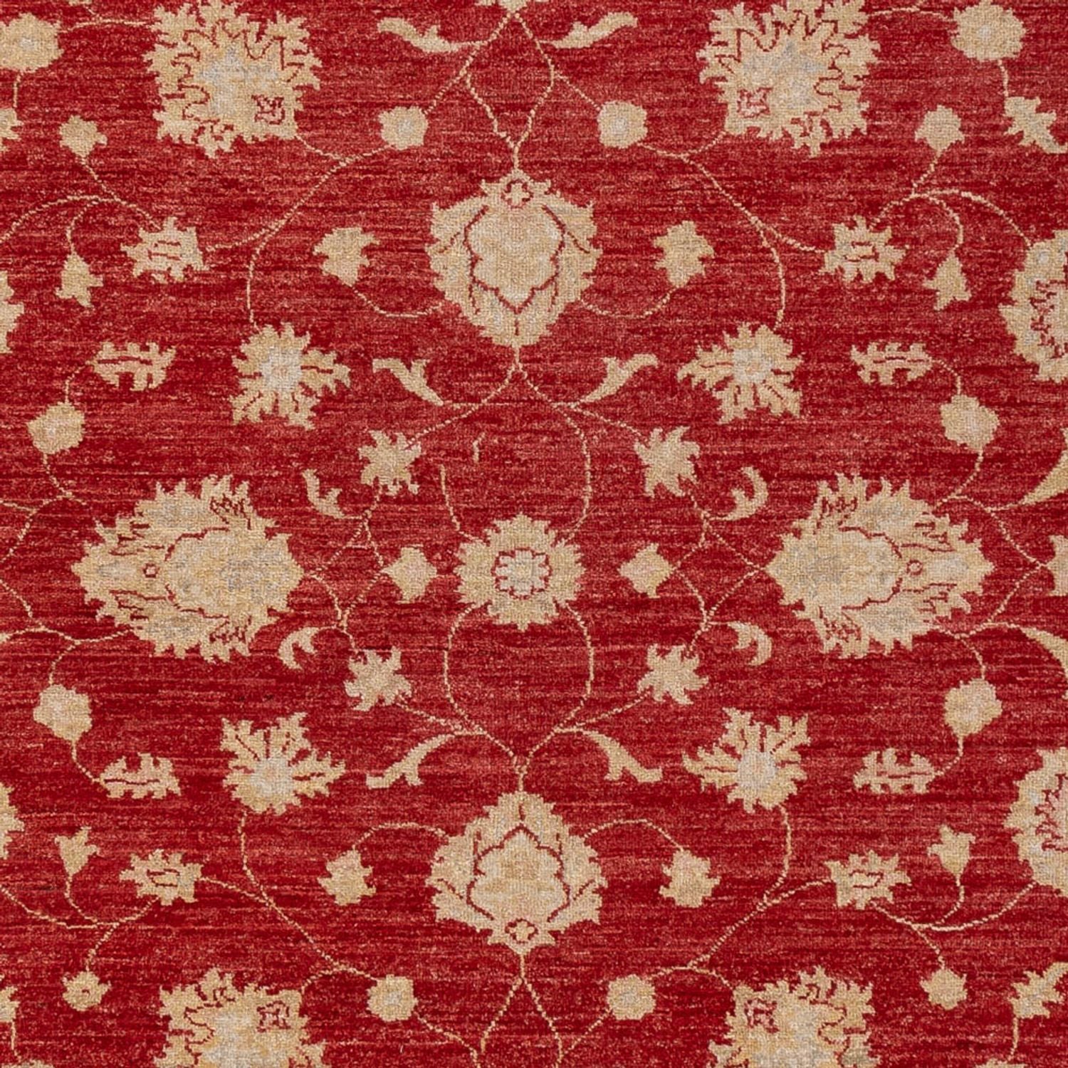 Ziegler Teppich - 298 x 210 cm - rot