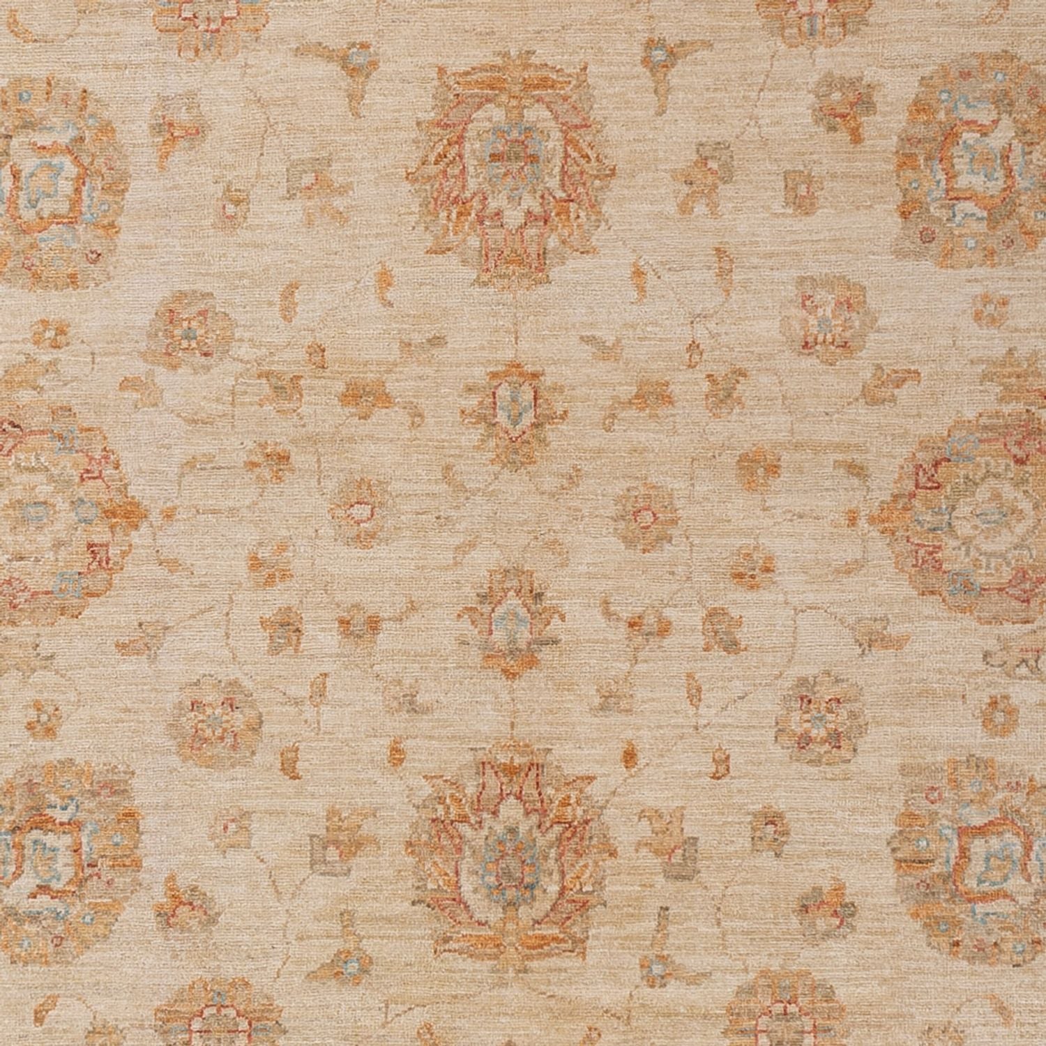 Ziegler Teppich - 299 x 205 cm - beige