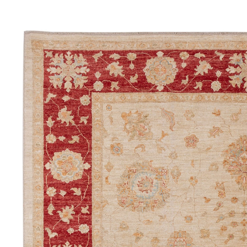 Ziegler Teppich - 299 x 205 cm - beige