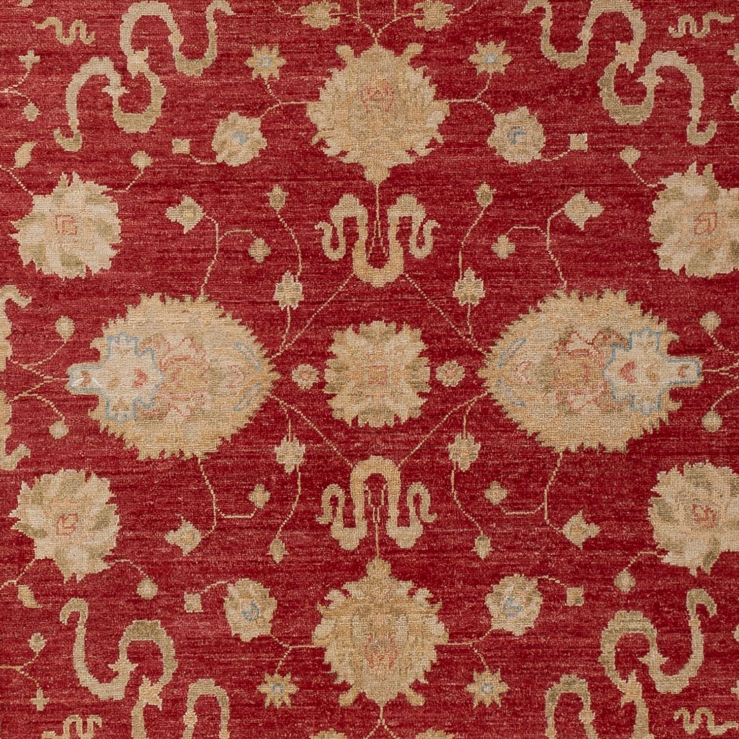 Ziegler Teppich - 297 x 203 cm - rot