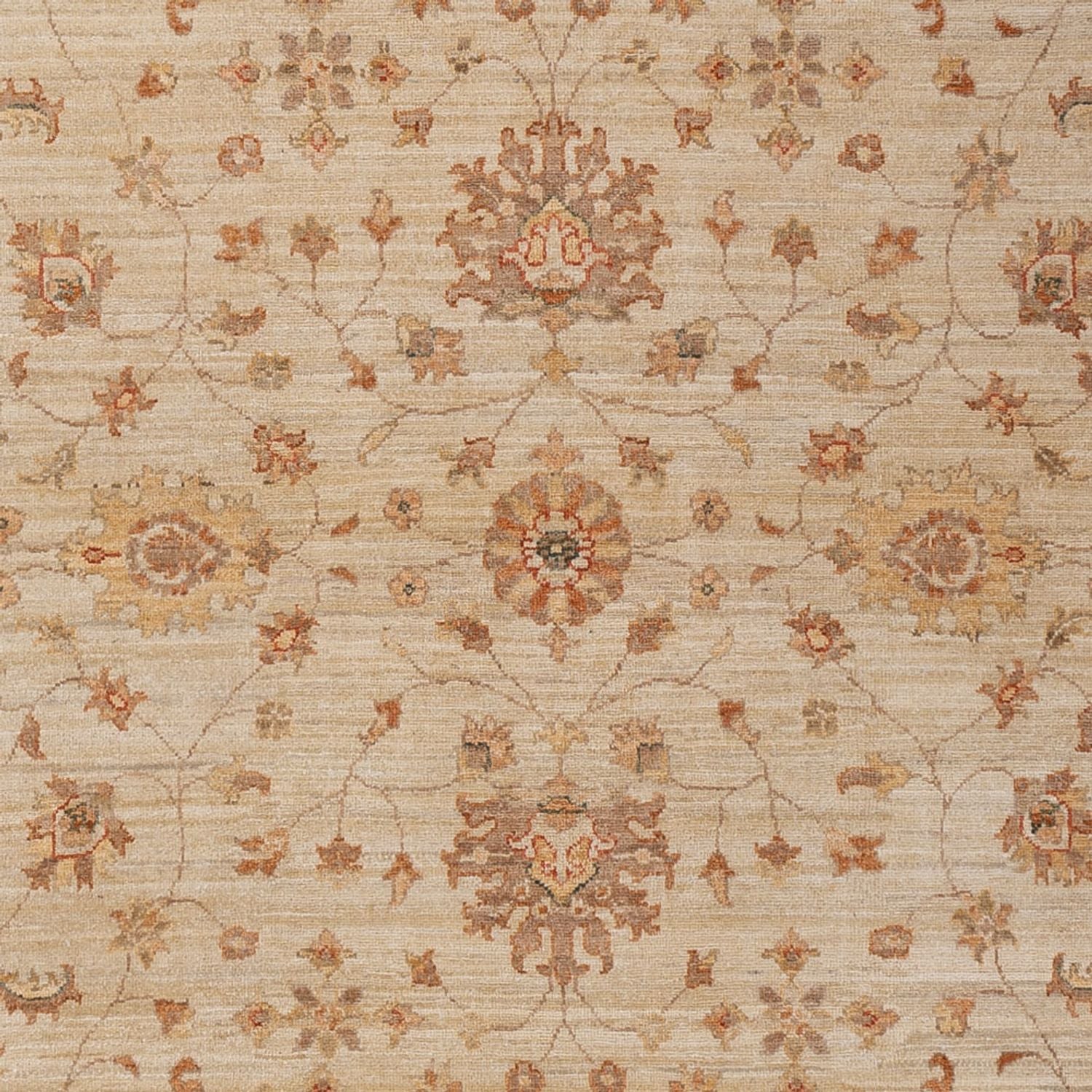 Ziegler Teppich - 306 x 205 cm - beige