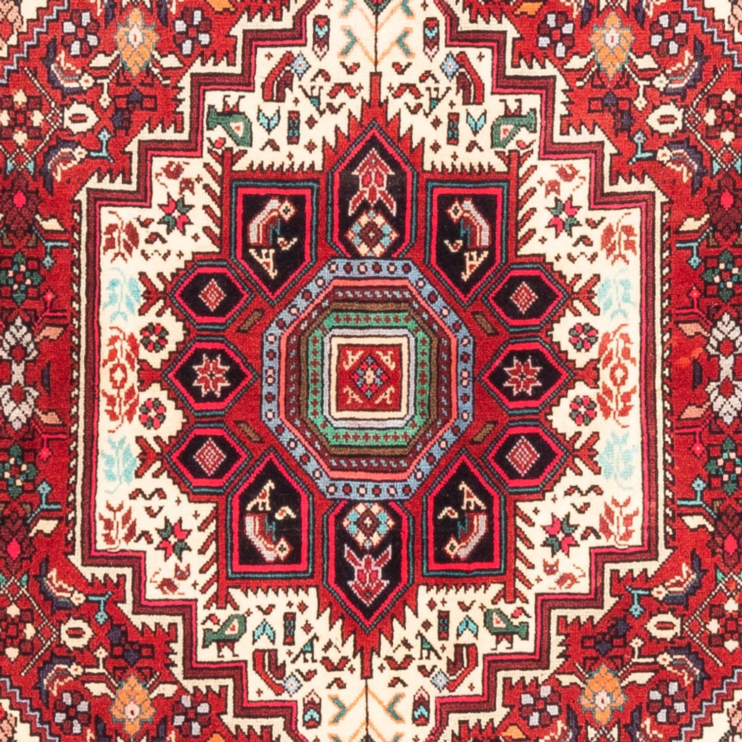 Perserteppich - Nomadic - 152 x 102 cm - rot