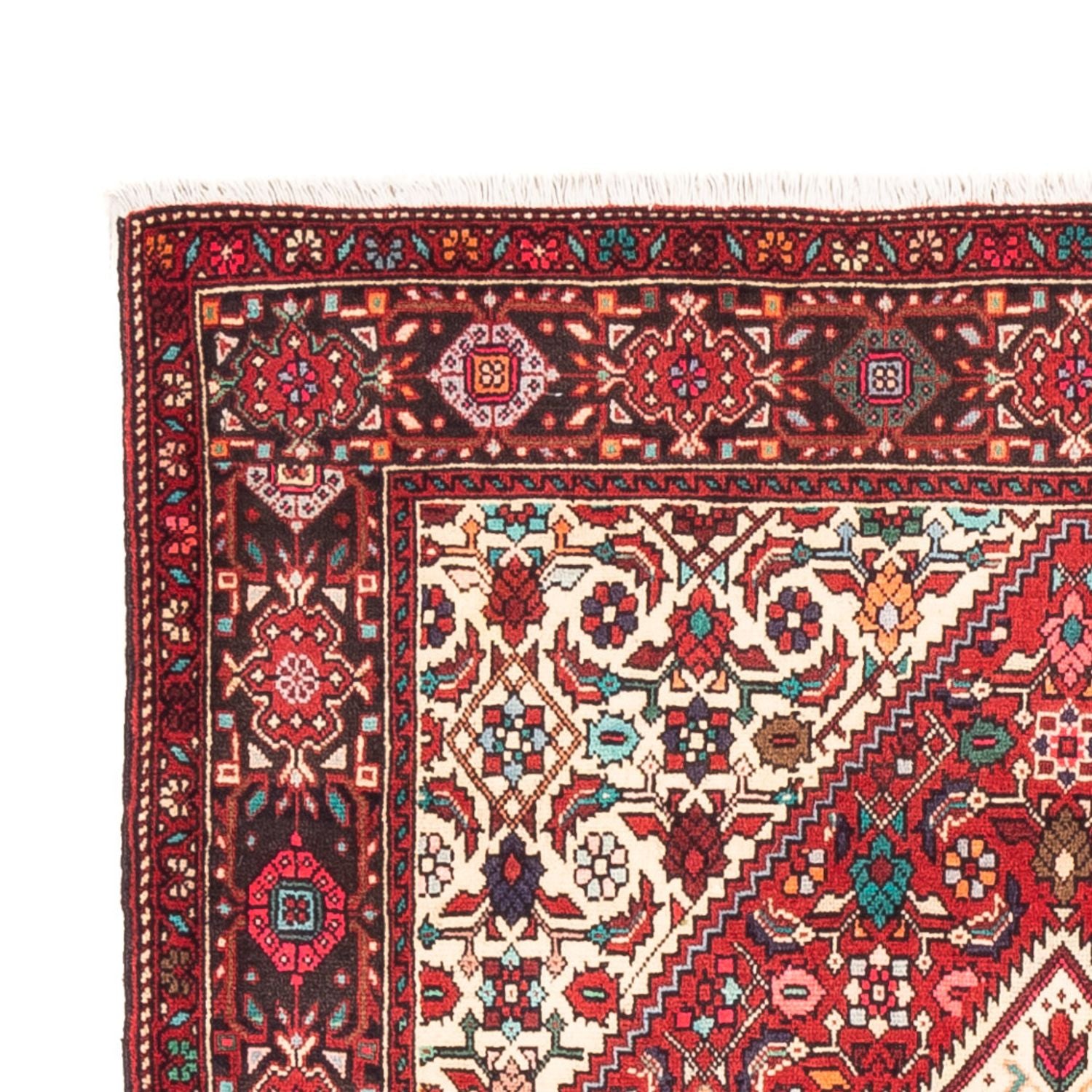 Perserteppich - Nomadic - 152 x 102 cm - rot