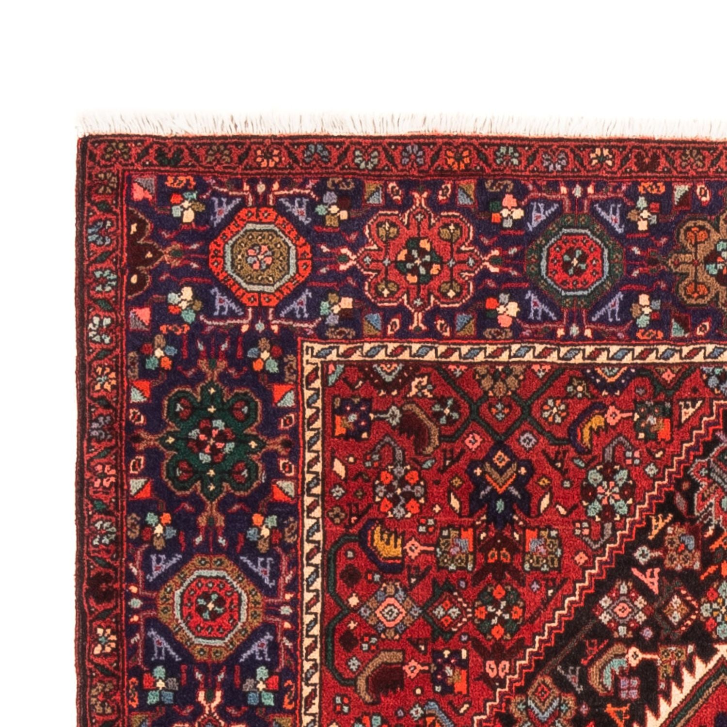 Perserteppich - Nomadic - 152 x 100 cm - rot