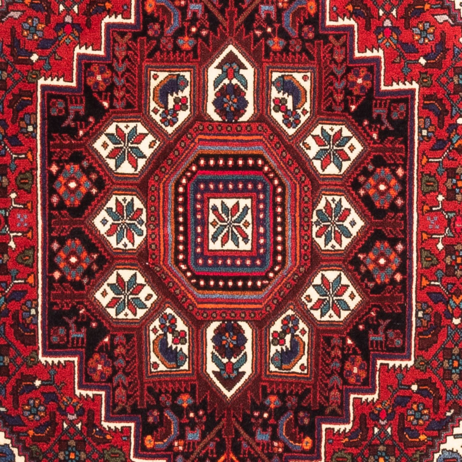 Perserteppich - Nomadic - 155 x 100 cm - rot