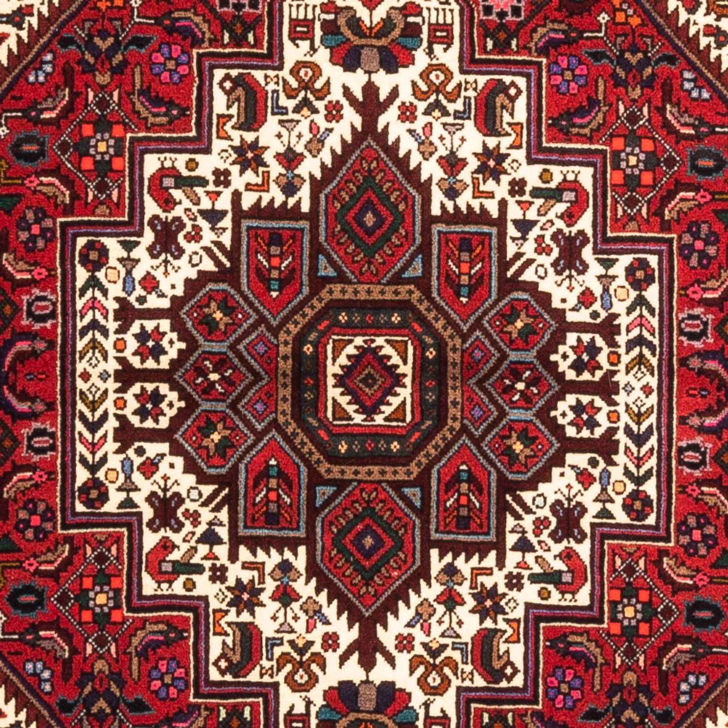 Perserteppich - Nomadic - 152 x 100 cm - rot