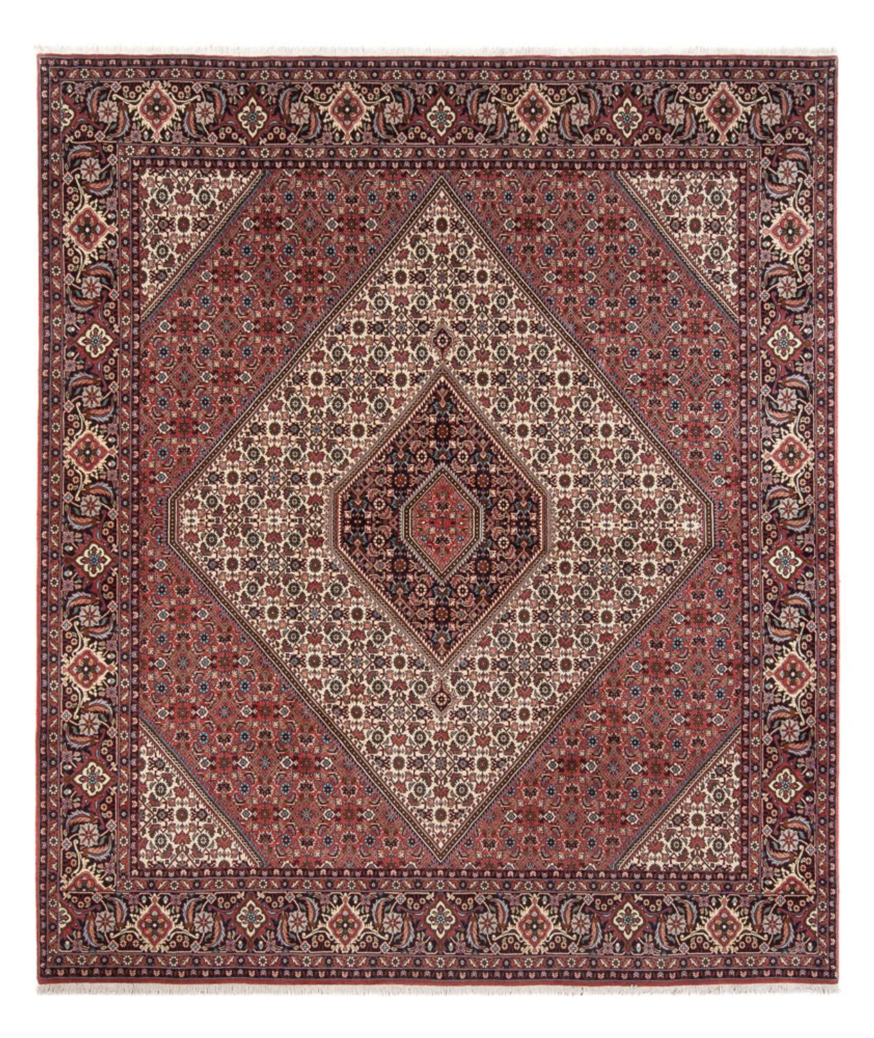 Perserteppich - Bidjar - Royal - 296 x 252 cm - creme