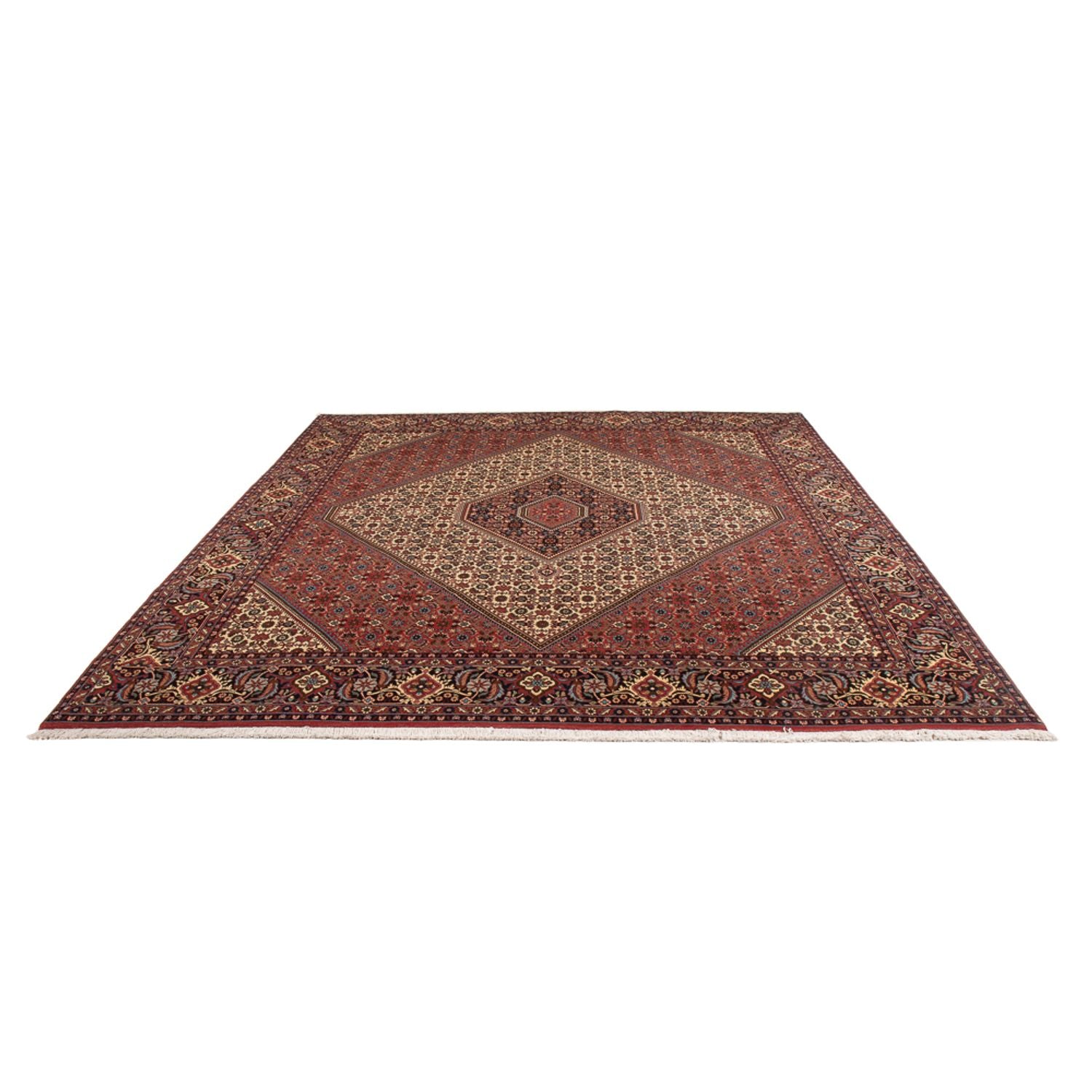 Perserteppich - Bidjar - Royal - 296 x 252 cm - creme