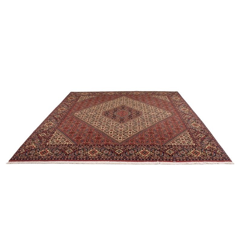 Perserteppich - Bidjar - Royal - 296 x 252 cm - creme