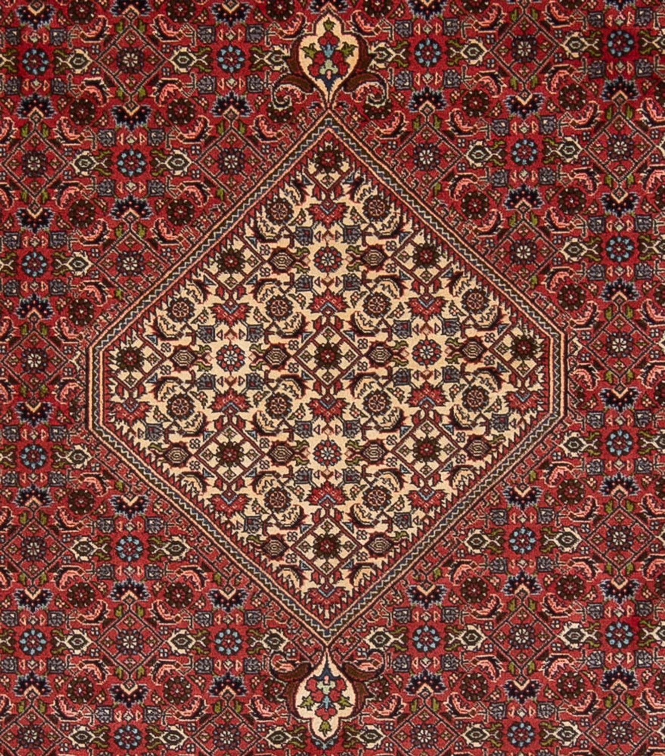 Perserteppich - Bidjar - Royal - 314 x 255 cm - dunkelrot