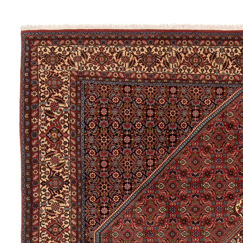 Perserteppich - Bidjar - Royal - 314 x 255 cm - dunkelrot