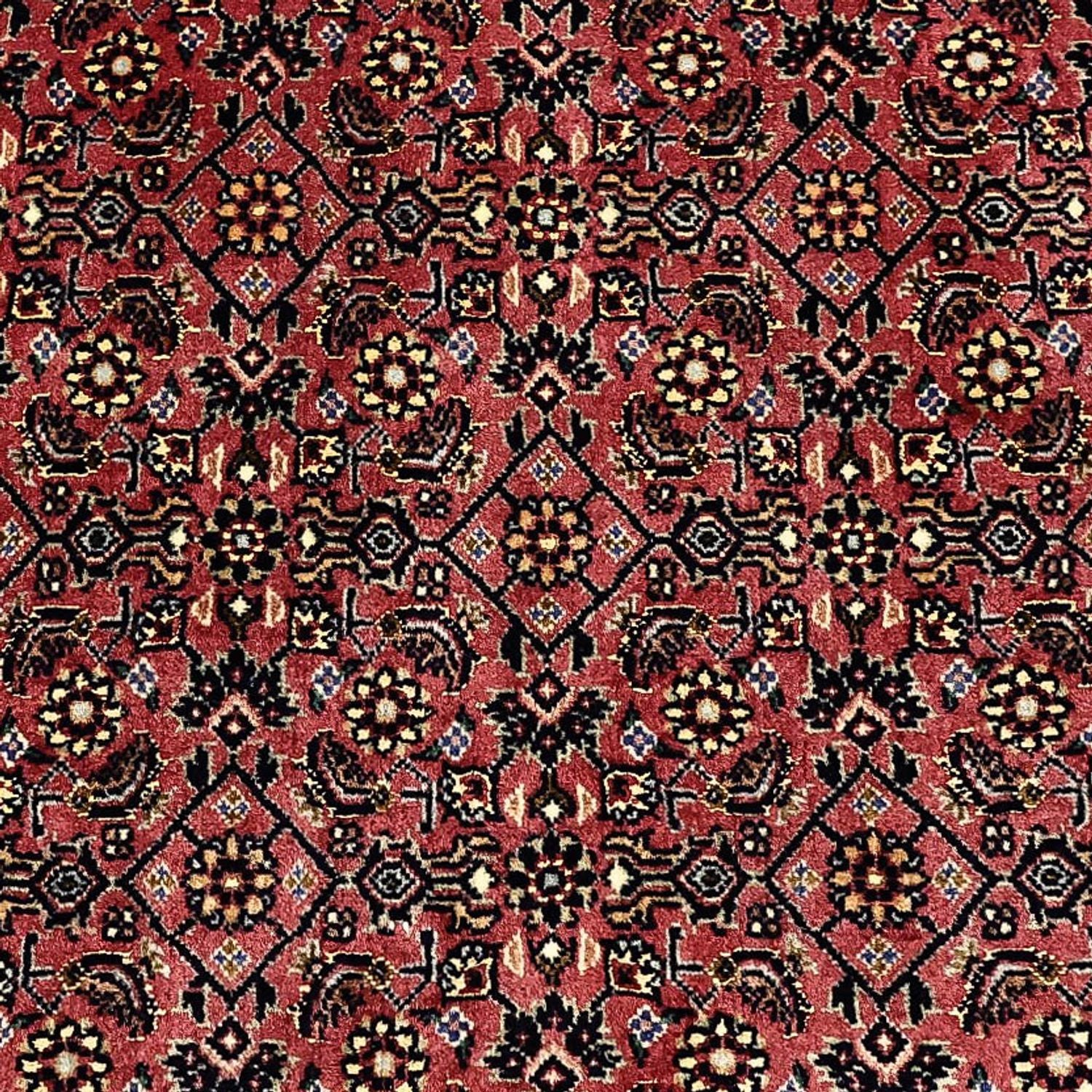Perserteppich - Bidjar - Royal - 204 x 152 cm - dunkelbeige