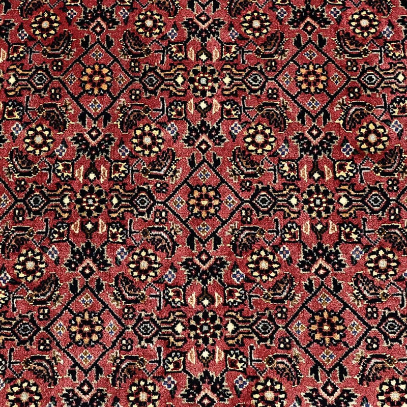 Perserteppich - Bidjar - Royal - 204 x 152 cm - dunkelbeige
