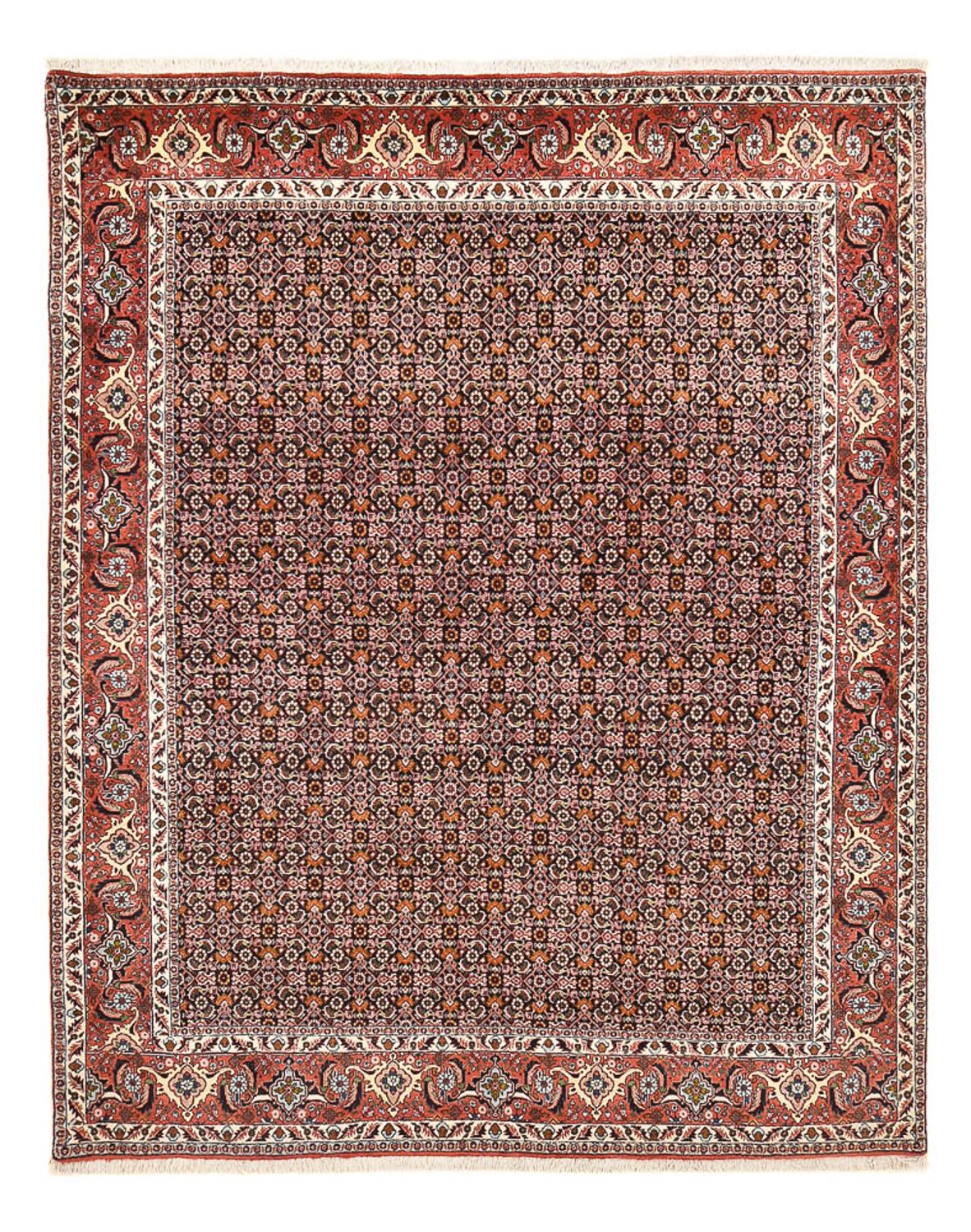 Perserteppich - Bidjar - 264 x 204 cm - rost