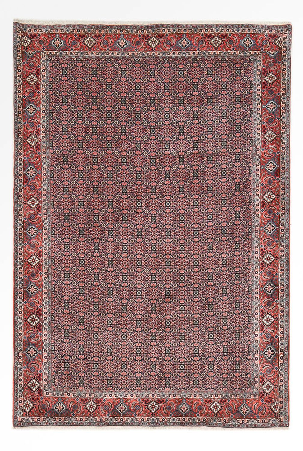 Perserteppich - Bidjar - 301 x 203 cm - rost
