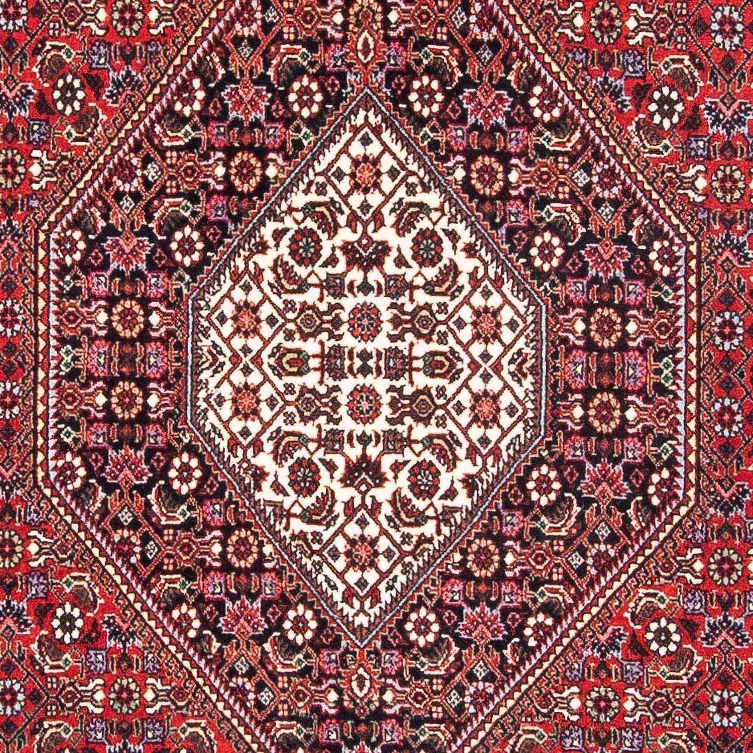 Perserteppich - Bidjar - Royal 192 x 110 cm