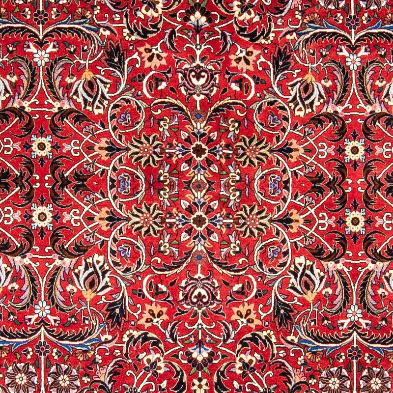 Perserteppich - Bidjar 242 x 175 cm