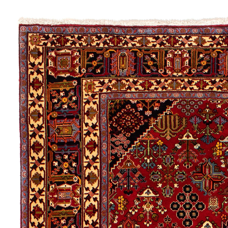 Perserteppich - Nomadic 323 x 203 cm