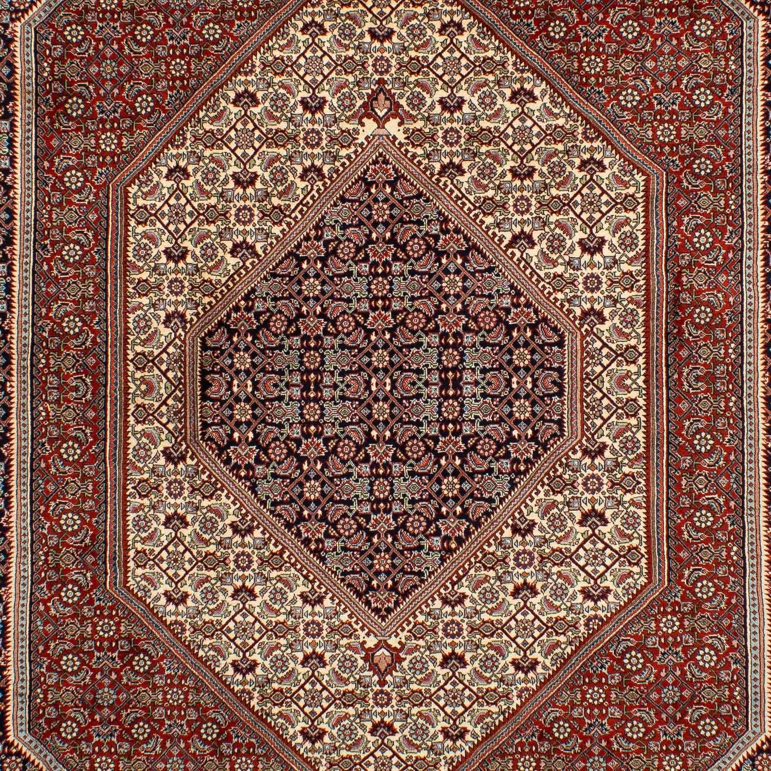 Perserteppich - Bidjar 292 x 210 cm