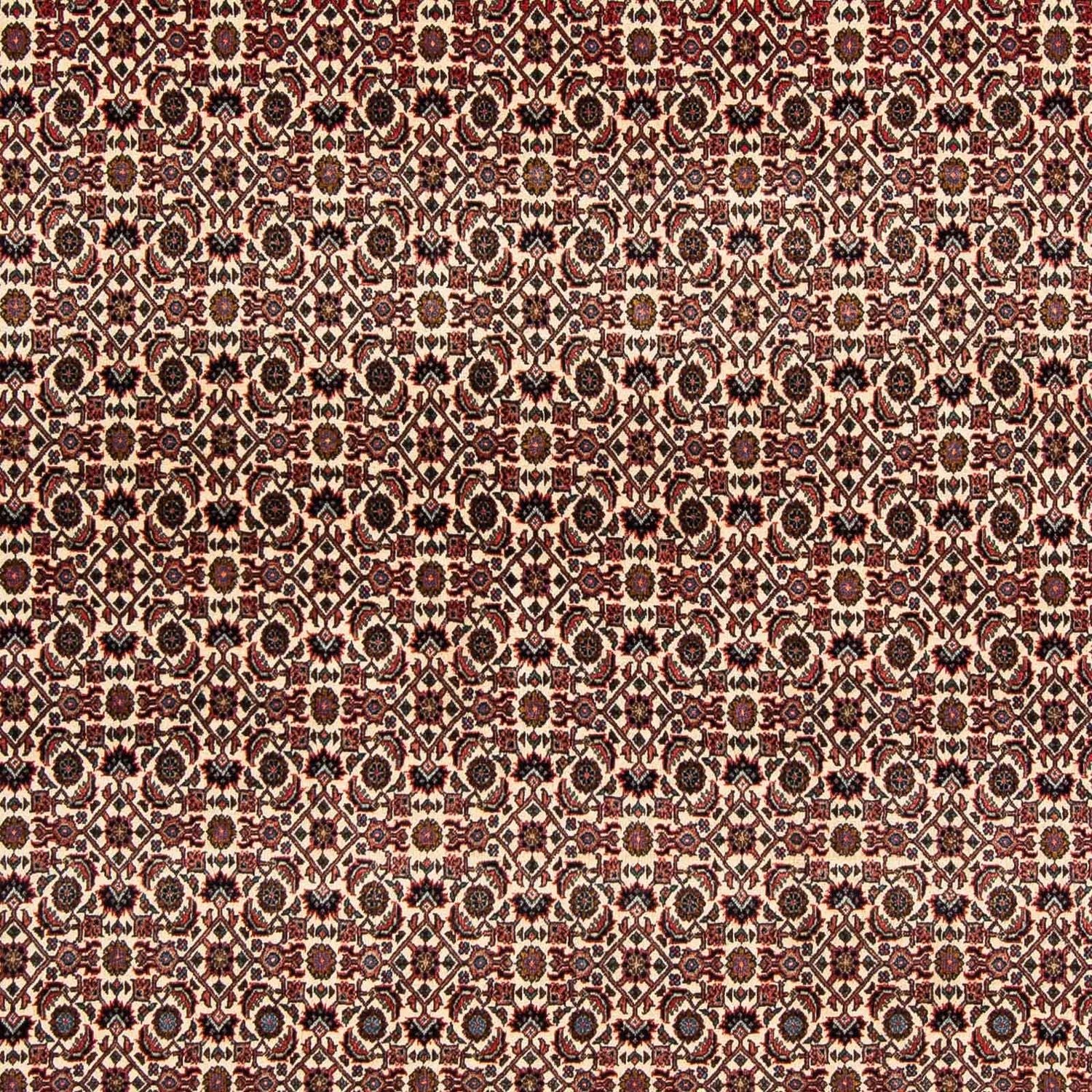 Perserteppich - Bidjar 204 x 201 cm
