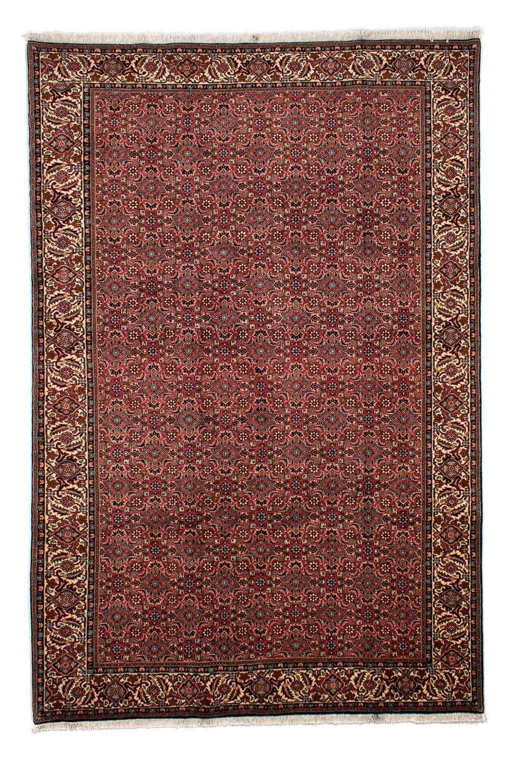 Perserteppich - Bidjar 300 x 200 cm