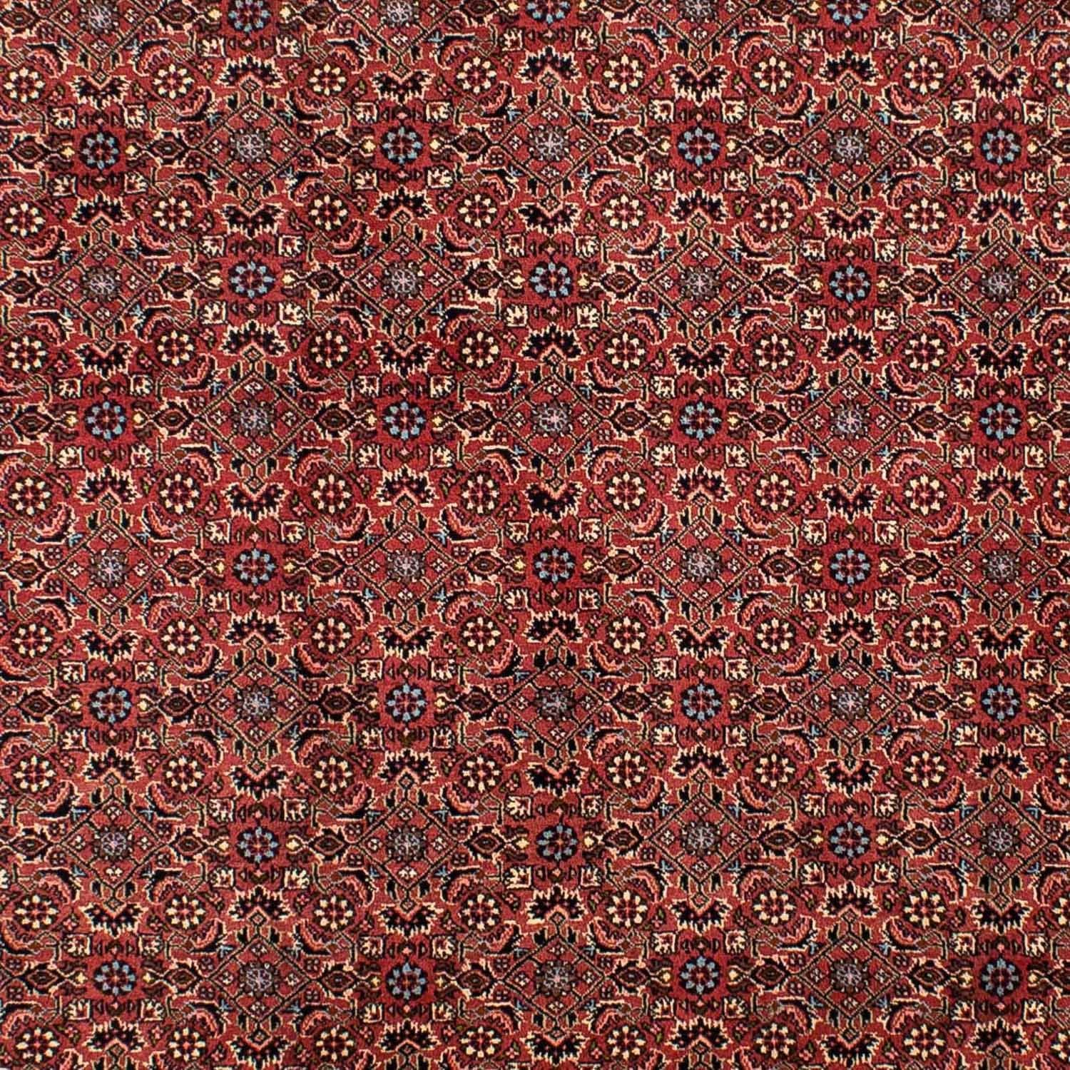 Perserteppich - Bidjar 300 x 200 cm