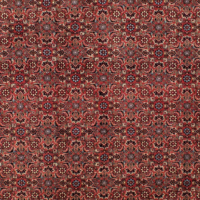 Perserteppich - Bidjar 300 x 200 cm