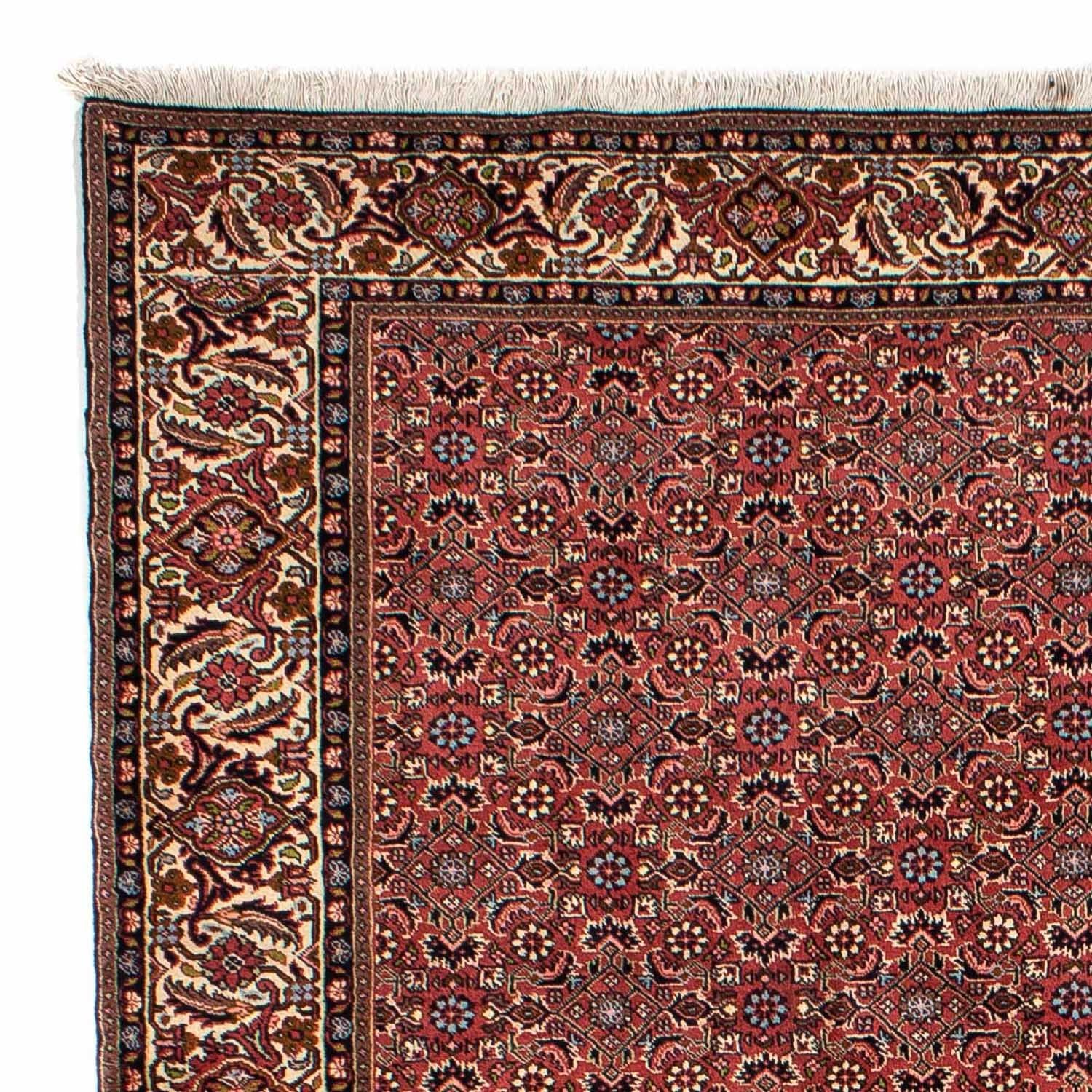 Perserteppich - Bidjar 300 x 200 cm